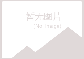 上海晓夏能源有限公司